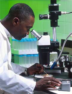 well water tests and safe drinking water testing - water test