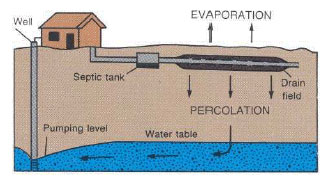 well water bacteria and septic systems fields